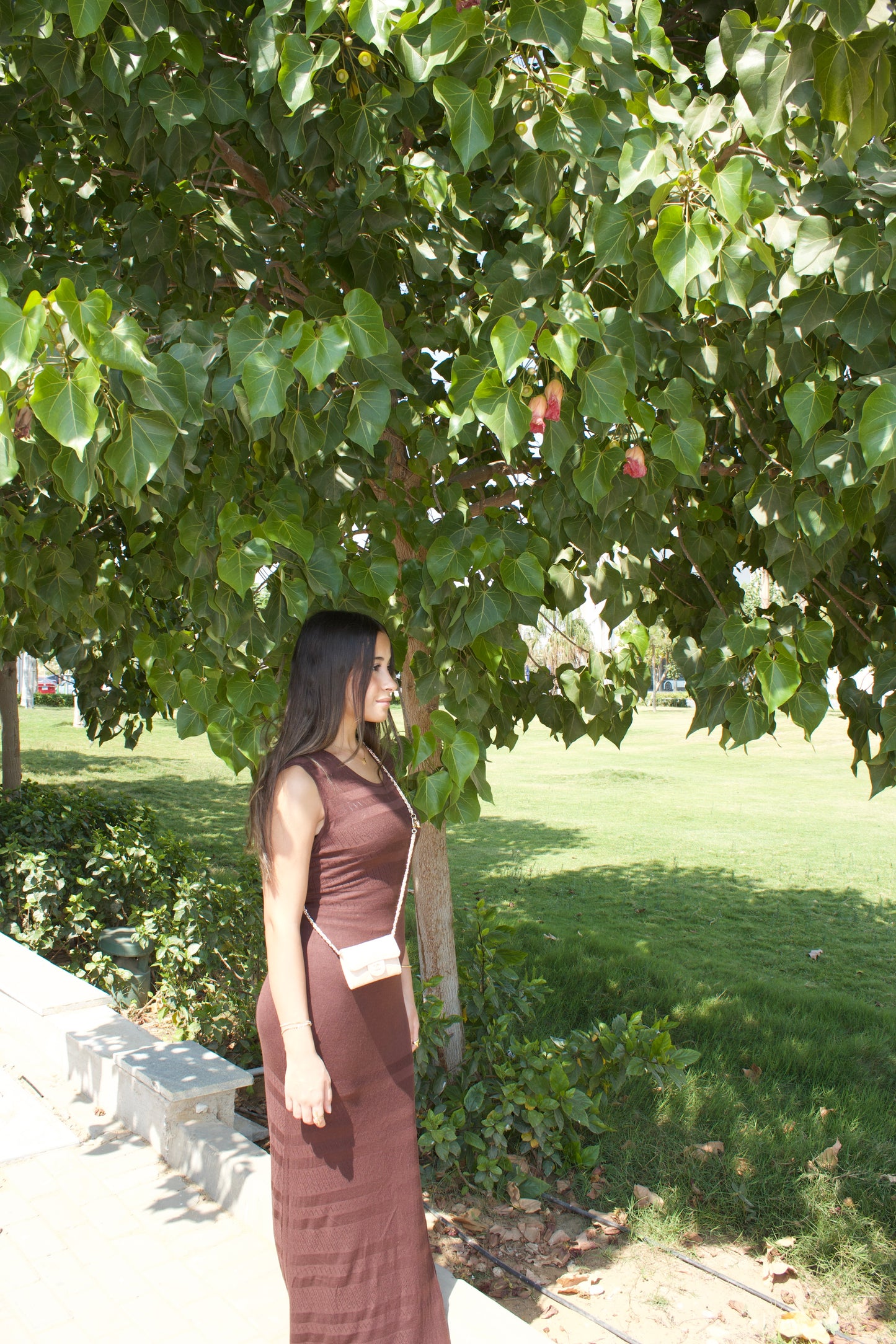 Brown Sleeveless Fitted Maxi Dress