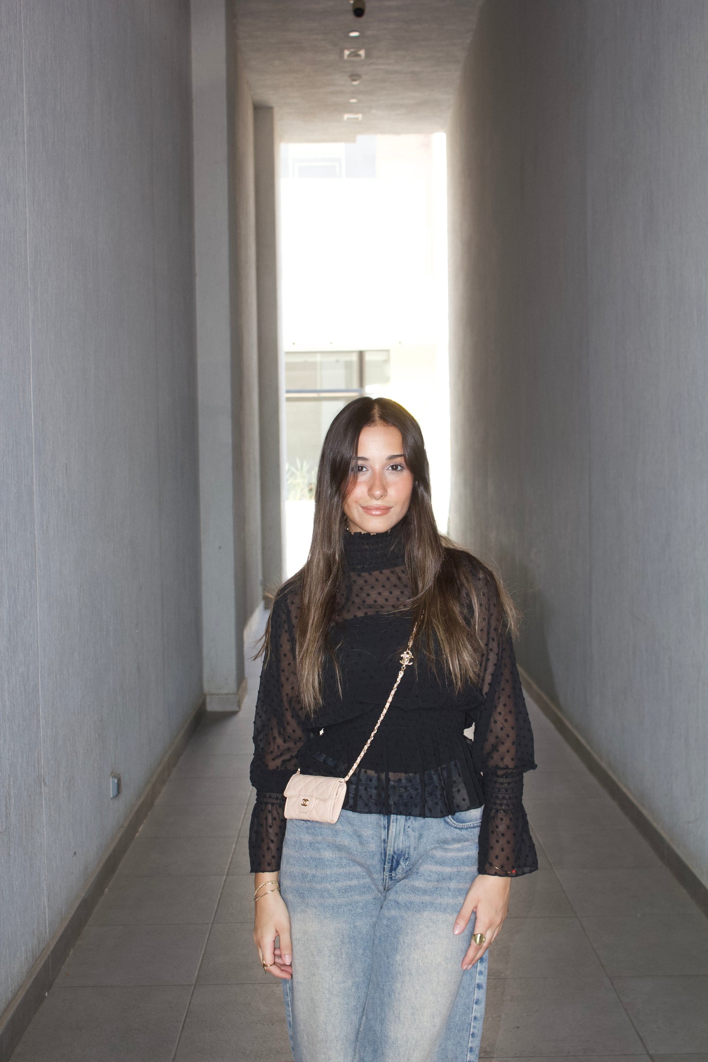 Elegant Polka Dot Sheer Blouse