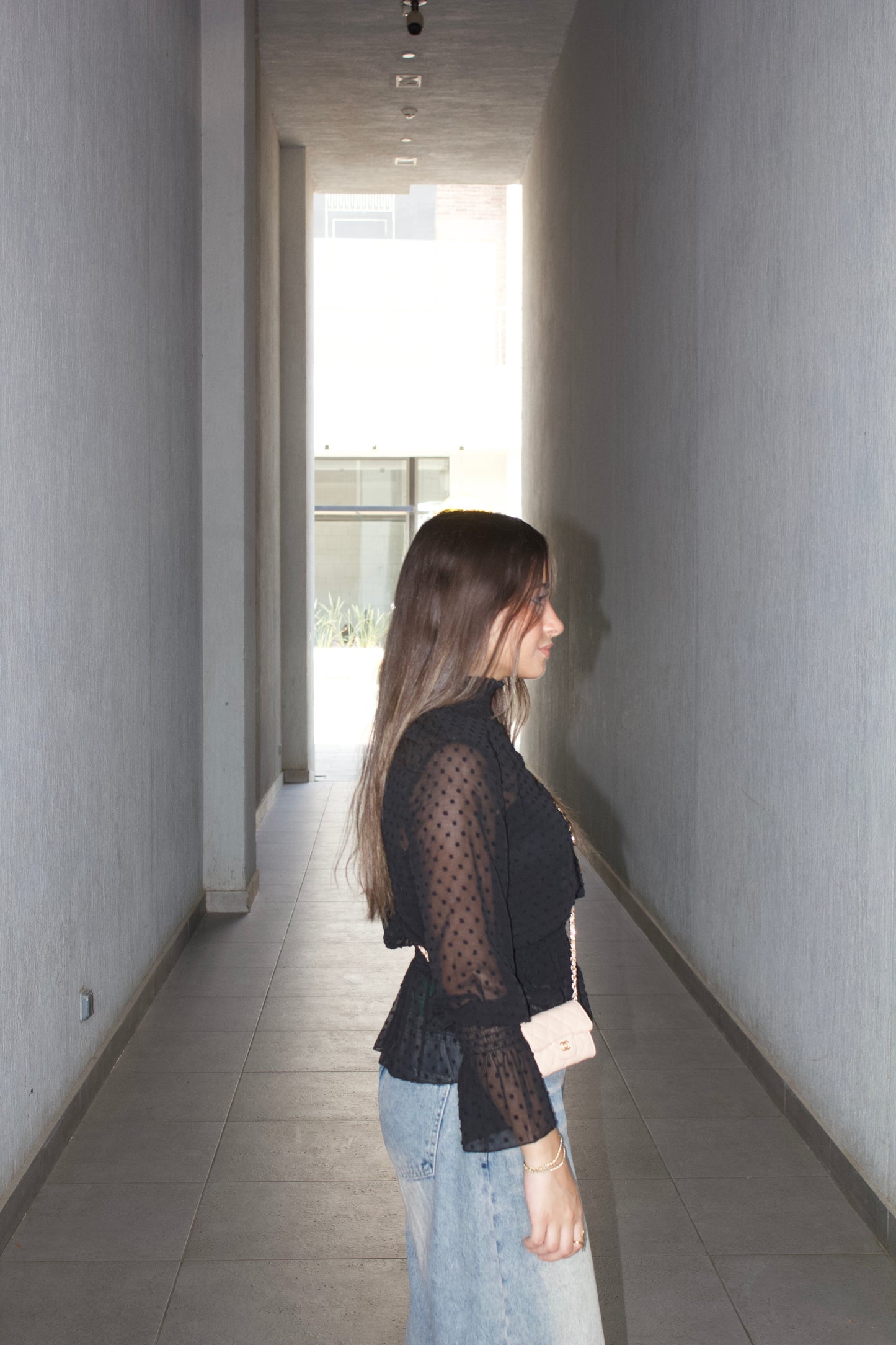 Elegant Polka Dot Sheer Blouse